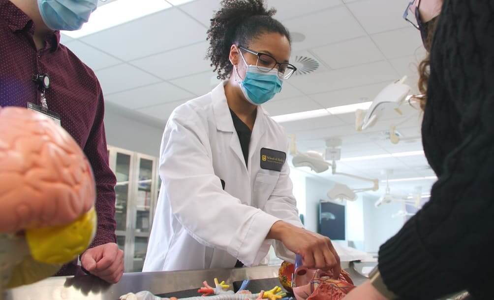 Career in Anatomy: 15 Potential Jobs You Can Land with Your Anatomy Degree