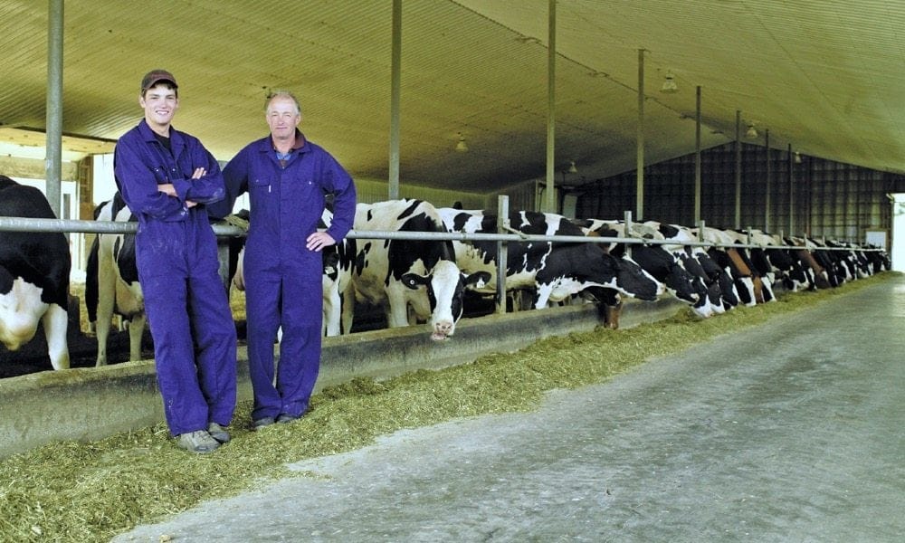 Dairy Farmers Canada Jobs: Your Complete Guide to Working in Canada's Dairy Industry